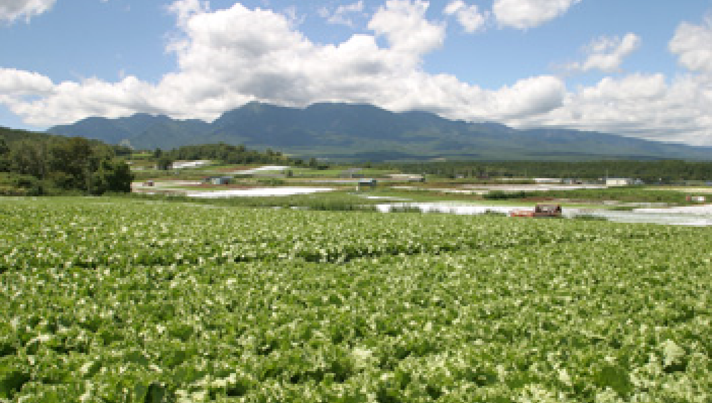 生産物