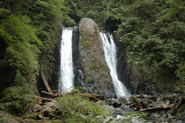 小菅村　自然