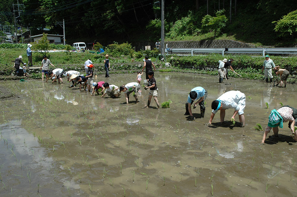 小菅村　多摩川源流大学