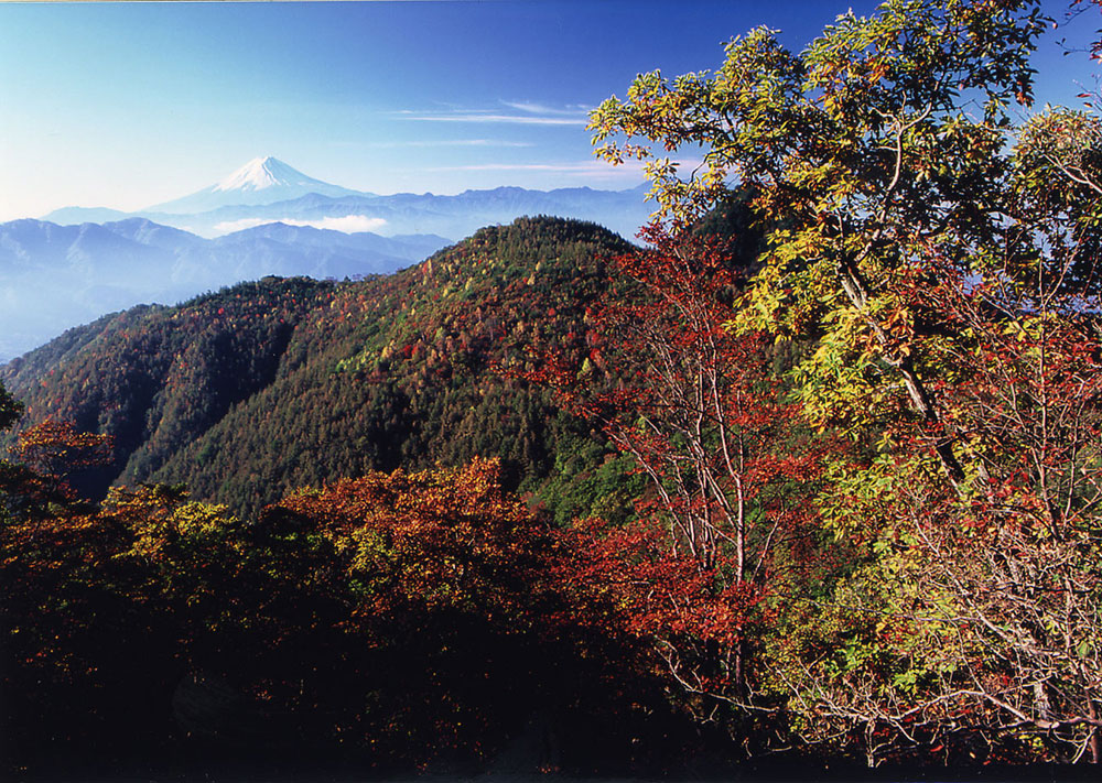 甲州市　柳沢峠　